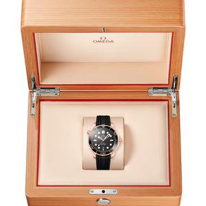 Omega Seamaster Diver 300M all black & Golden