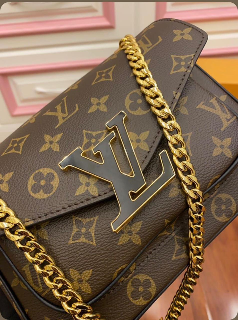 Louis Vuitton Passy bag — zoomed view