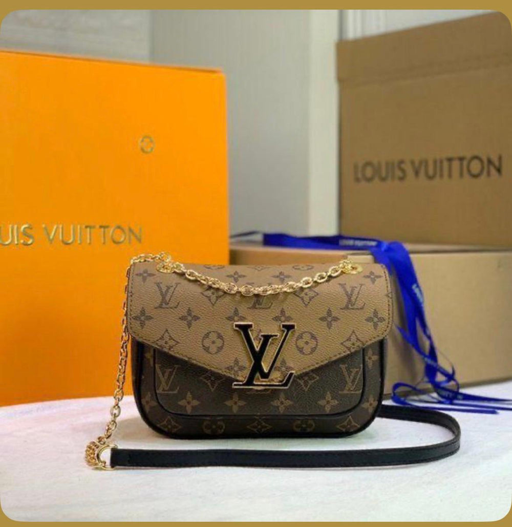 Louis Vuitton Passy bag