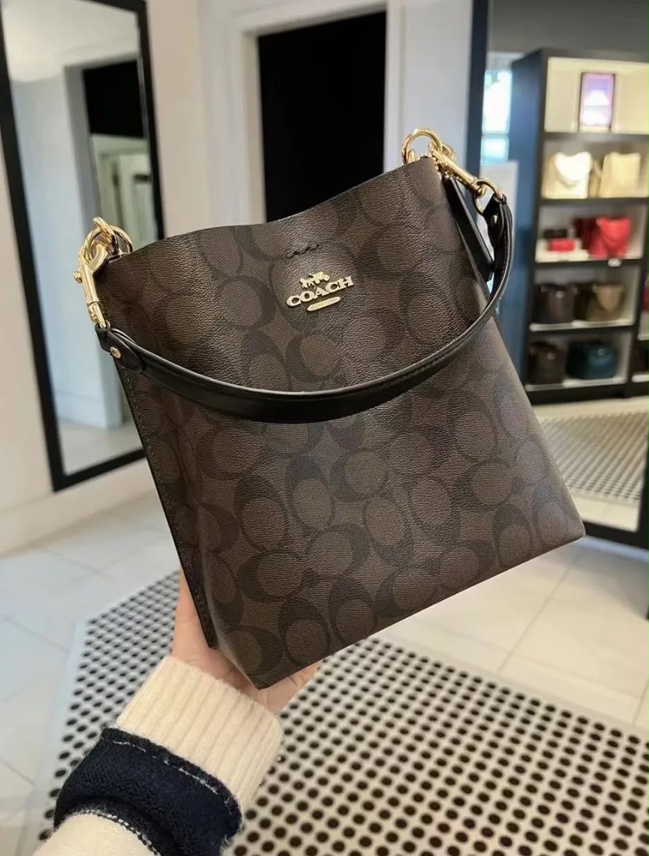 Coach Mollie Bucket Bag 22