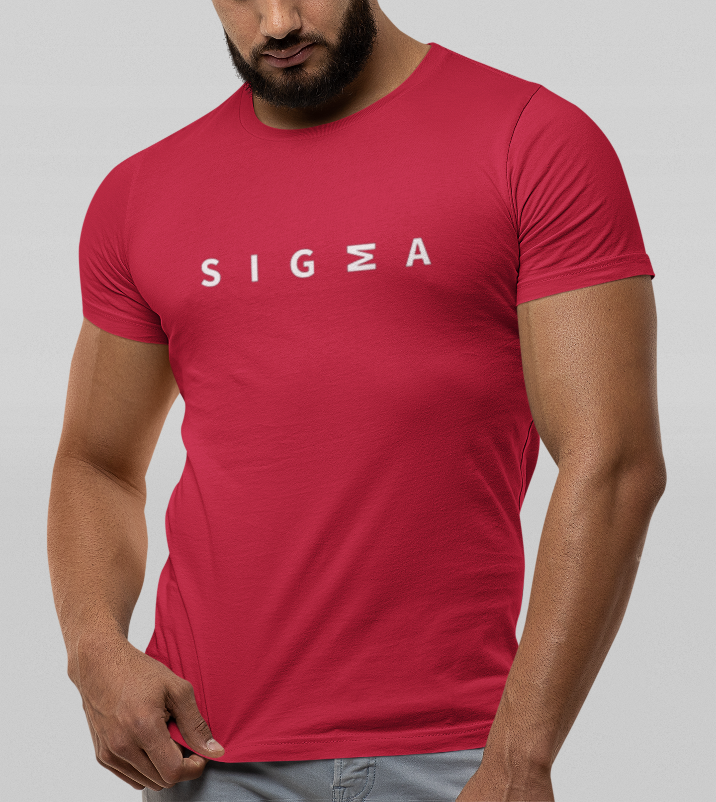 Sigma Tshirt — zoomed view